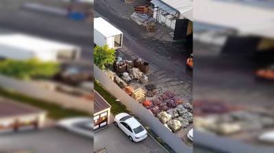 Воронежцы пожаловались на гниющий под окнами склад овощей - vestivrn.ru - Воронеж