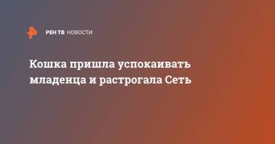 Кошка пришла успокаивать младенца и растрогала Сеть - ren.tv