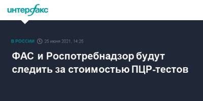 Михаил Мишустин - Анна Попова - ФАС и Роспотребнадзор будут следить за стоимостью ПЦР-тестов - interfax.ru - Москва - Россия