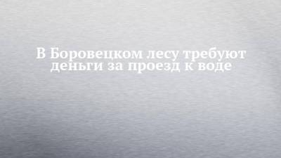 В Боровецком лесу требуют деньги за проезд к воде - chelny-izvest.ru - Набережные Челны