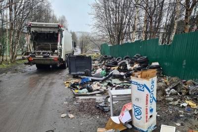 В районе Больничного городка организуют контейнерную площадку до конца лета - murmansk.mk.ru - Россия - Мурманск - Мурманская обл.