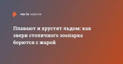 Плавают и хрустят льдом: как звери столичного зоопарка борются с жарой - ren.tv