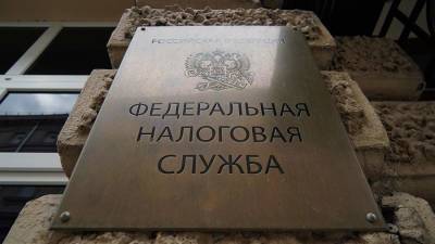 Управляющая аэропортом Жуковский компания погасит долг перед ФНС за две недели - iz.ru - Москва - Израиль