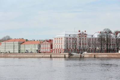 СПбГУ перестал сотрудничать с нежелательным Bard College - neva.today - Санкт-Петербург