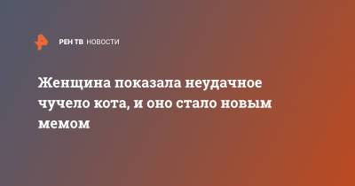 Женщина показала неудачное чучело кота, и оно стало новым мемом - ren.tv - США