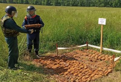 Более 700 опасных предметов нашли в полях близ деревни Тверской области - afanasy.biz - Россия - Тула - Тверская обл. - округ Оленинский