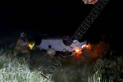 Женщина и ребенок пострадали в ДТП с перевертышем в Суворовском районе - tula.mk.ru - Тульская обл. - район Суворовский