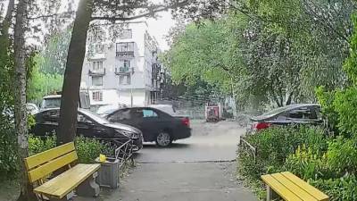 Питер Онлайн - В Петербурге водитель переехал котенка, выпавшего из-под капота машины - piter.tv - Санкт-Петербург