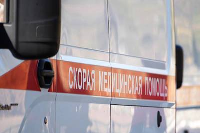 Раскрыто состояние пострадавших в крушении самолета в Архангельской области - lenta.ru - Архангельская обл.
