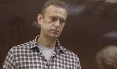 Алексей Навальный - Суд отклонил иск Алексея Навального по его склонности к побегу - newizv.ru - Москва