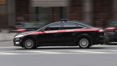 Ольга Врадий - СК возбудил дело после смерти в коляске на жаре младенца в Электростали - iz.ru - Москва - Россия - Израиль - Московская обл.