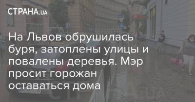 Андрей Садовой - На Львов обрушилась буря, затоплены улицы и повалены деревья. Мэр просит горожан оставаться дома - strana.ua - Украина - Львов