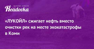 Вагит Алекперов - «ЛУКОЙЛ» сжигает нефть вместо очистки рек на месте экокатастрофы в Коми - readovka.ru - респ. Коми