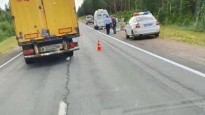 Машина сбила ребенка на трассе возле Тихвина - piter.tv - Вологда