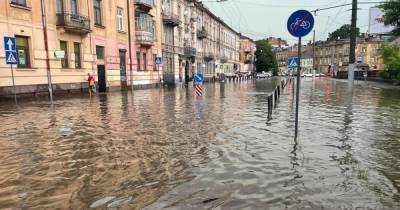 Затопленные улицы и поваленные деревья: Львов накрыла мощная буря (фото, видео) - focus.ua - Украина - Львов