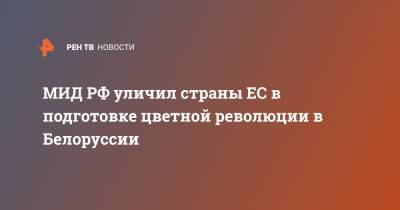 Мария Захарова - МИД РФ уличил страны ЕС в подготовке "цветной революции" в Белоруссии - ren.tv - Россия - Белоруссия
