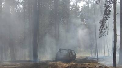 В Воронежской области из-за загоревшихся машин вспыхнул лес - vestivrn.ru - Воронежская обл.