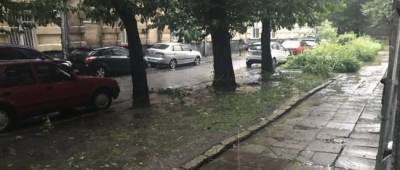 Львов накрыла сильная буря: поваленные деревья, потоп и порванные электросети - w-n.com.ua - Львов