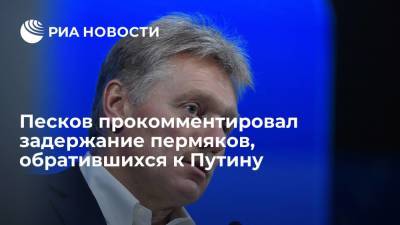 Владимир Путин - Дмитрий Песков - Пресс-секретарь президента Песков прокомментировал задержание пермяков, обратившихся к Путину - ria.ru - Москва - Россия - Пермь