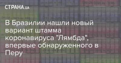 В Бразилии нашли новый вариант штамма коронавируса "Лямбда", впервые обнаруженного в Перу - strana.ua - Украина - Бразилия - Аргентина