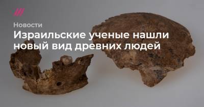Израильские ученые нашли новый вид древних людей - tvrain.ru - Израиль - Тель-Авив - Иерусалим
