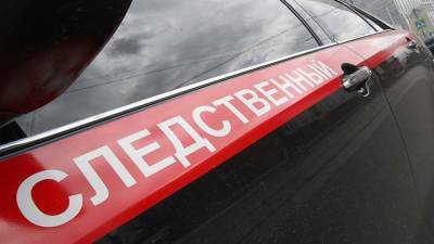 СК начал проверку после наезда самокатчика на ребенка в Ростове-на-Дону - iz.ru - Россия - Израиль - Ростов-На-Дону