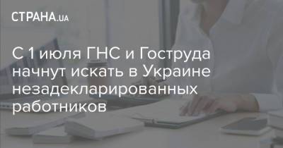 C 1 июля ГНС и Гоструда начнут искать в Украине незадекларированных работников - strana.ua - Украина