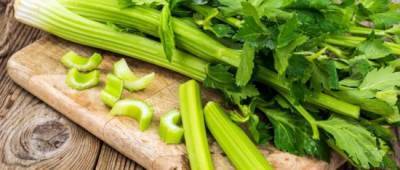 Что обязательно нужно есть в жару: топ-5 продуктов - w-n.com.ua