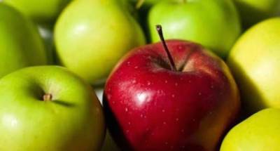 Различия и пользу яблок разных цветов оценили диетологи - lenta.ua - Украина