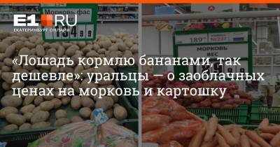 «Лошадь кормлю бананами, так дешевле»: уральцы — о заоблачных ценах на морковь и картошку - e1.ru - Екатеринбург