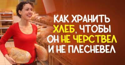 Мама засунула в морозилку буханку хлеба, объясняю, зачем так делать - skuke.net - Россия