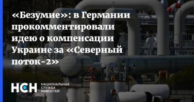 Дмитрий Кулеба - «Безумие»: в Германии прокомментировали идею о компенсации Украине за «Северный поток-2» - nsn.fm - Москва - Россия - Украина - Киев - Германия