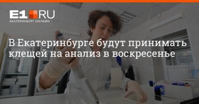 Артем Устюжанин - В Екатеринбурге будут принимать клещей на анализ в воскресенье - e1.ru - Екатеринбург - Свердловская обл.