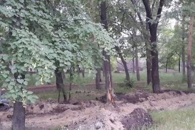 Подрядчик благоустройства Советского парка в Омске повредил там деревья - omsk.mk.ru - Омск