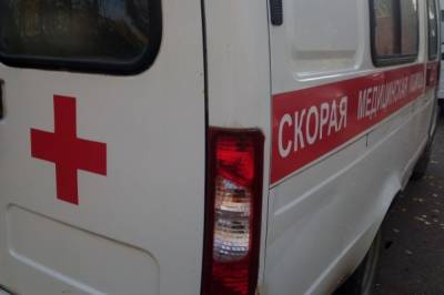 Михаил Ведерников - Из-за урагана в Псковской области пострадали четыре человека - aif.ru - Псковская обл. - Великий Луки
