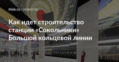 Андрей Бочкарев - Как идет строительство станции «Сокольники» Большой кольцевой линии - mos.ru - Москва