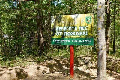 С 25 июня в лесах Рязанской области установился IV класс пожарной опасности - rzn.mk.ru - Рязанская обл.