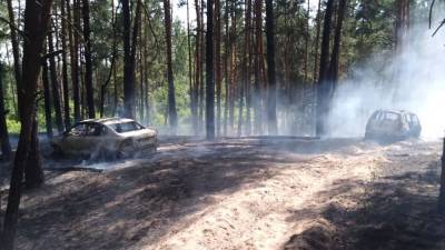 В Воронежской области в лесу сгорели два автомобиля и сожгли лес - gorcom36.ru - Воронеж - Воронежская обл.