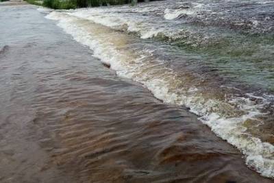 Уровень воды в реке Аргунь увеличится в ближайшие сутки по прогнозам синоптиков - chita.ru - Забайкальский край - Чита - район Забайкалья