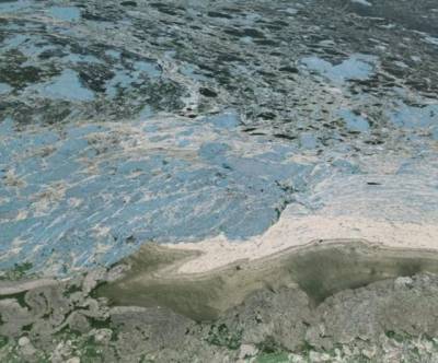 Каховское водохранилище зацвело и дурно пахнет (ФОТО и ВИДЕО) - enovosty.com - Днепропетровская обл. - Никополь