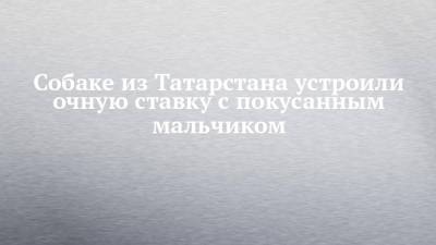 Собаке из Татарстана устроили очную ставку с покусанным мальчиком - chelny-izvest.ru - респ. Татарстан - Зеленодольск
