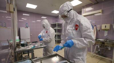 В России от коронавируса за сутки умерли 619 человек - максимум с 24 декабря - belta.by - Россия - Белоруссия - Минск