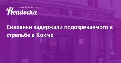 Силовики задержали подозреваемого в стрельбе в Кохме - readovka.ru - Россия - Ивановская обл.