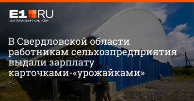 Артем Устюжанин - В Свердловской области работникам сельхозпредприятия выдали зарплату карточками-«урожайками» - e1.ru - Екатеринбург - Свердловская обл.