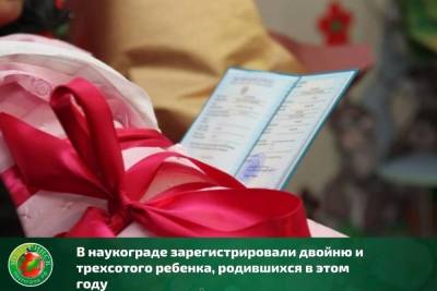 В Мичуринске зарегистрировали двойню и 300 ребенка - tambov.mk.ru - Мичуринск