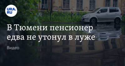 В Тюмени пенсионер едва не утонул в луже. Видео - ura.news - Тюмень