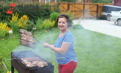 Россиянам назвали необходимые атрибуты вечеринки на даче - fedpress.ru - Москва