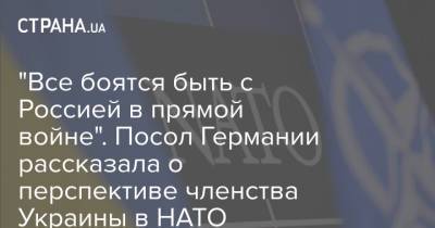 Анка Фельдгузен - "Все боятся быть с Россией в прямой войне". Посол Германии рассказала о перспективе членства Украины в НАТО - strana.ua - Россия - Украина - Германия