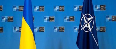 Анка Фельдгузен - Посол Германии: Вопрос вступления Украины в НАТО — политический, нужно ждать «окно возможностей» - w-n.com.ua - Украина - Германия - Эстония - Берлин