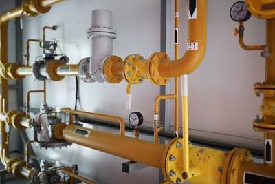 Анка Фельдгузен - В Германии посоветовали Украине перейти с газа на водород - lenta.ru - Украина - Германия
